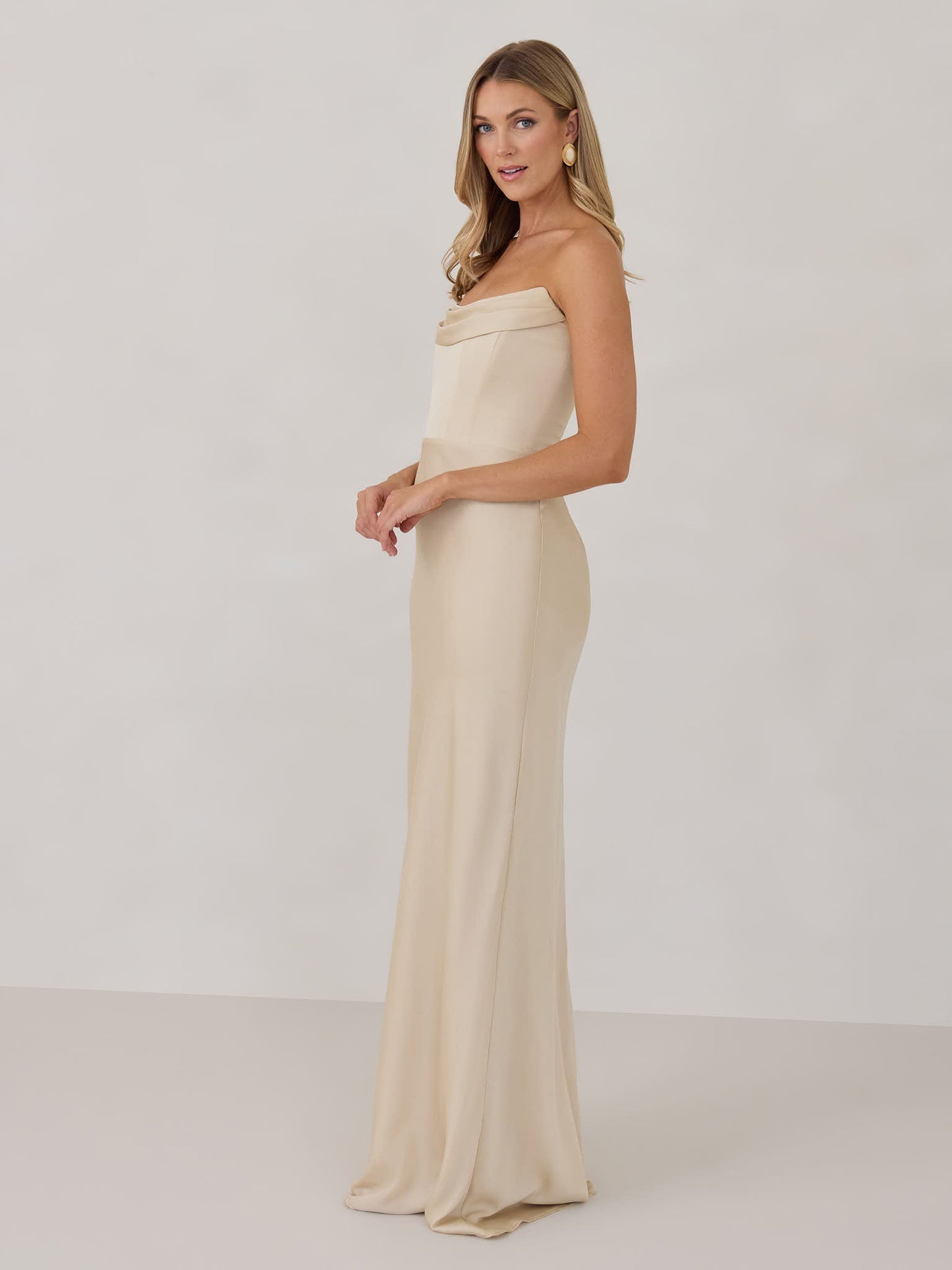 Elegant Dress
