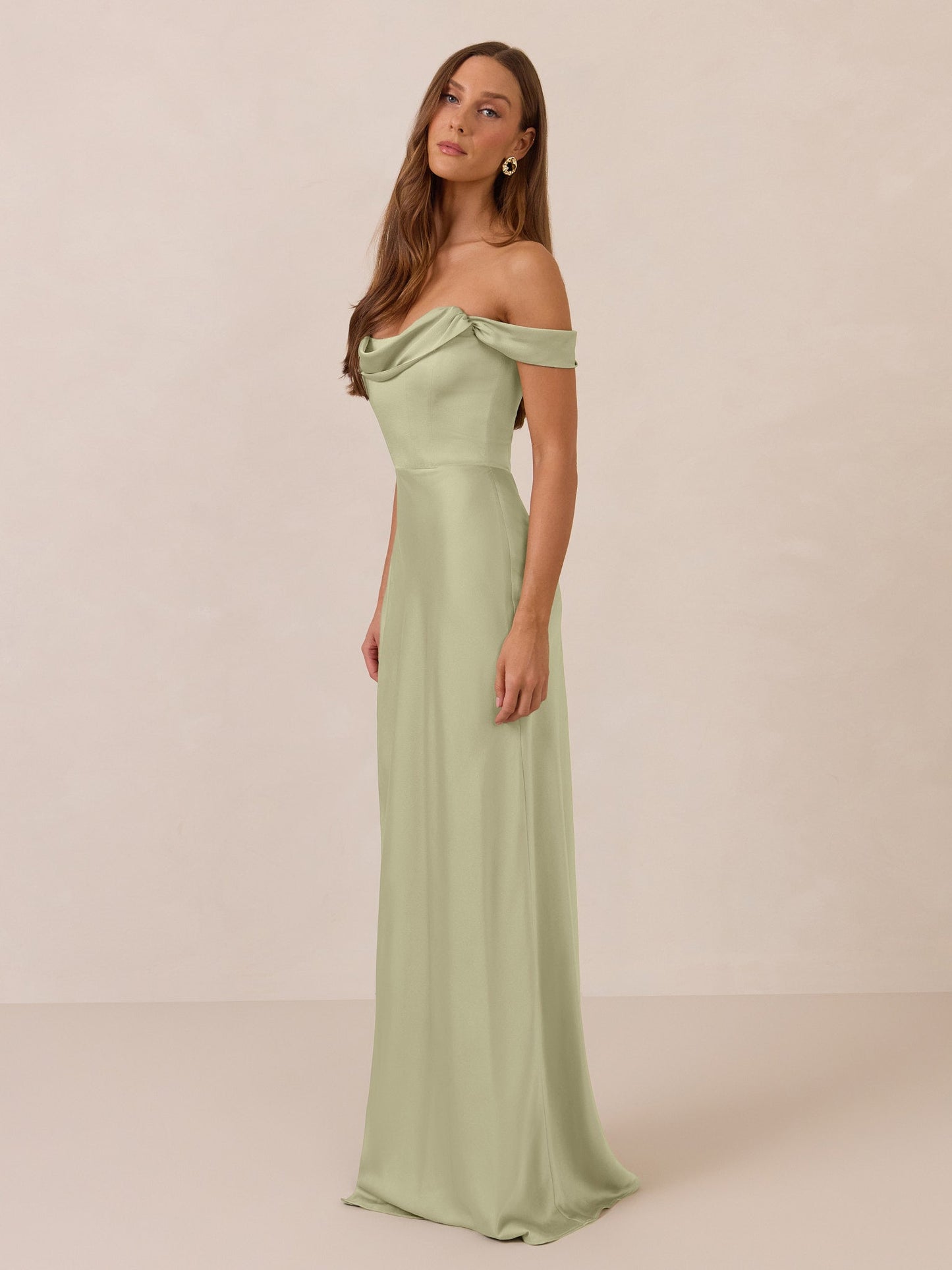 Elegant Dress