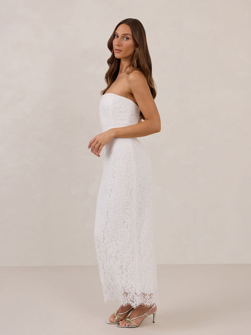 Elegant Dress