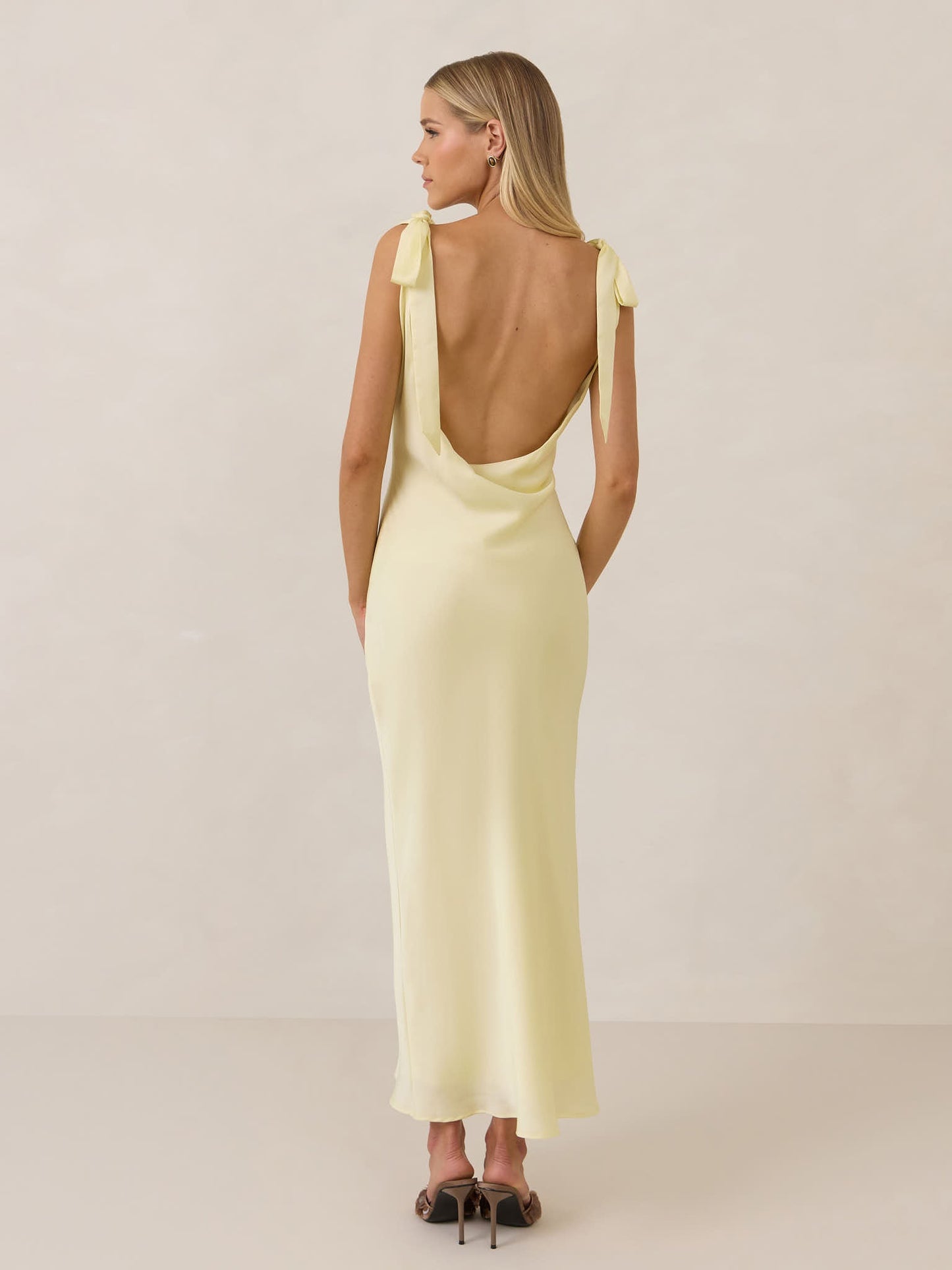 Elegant Dress