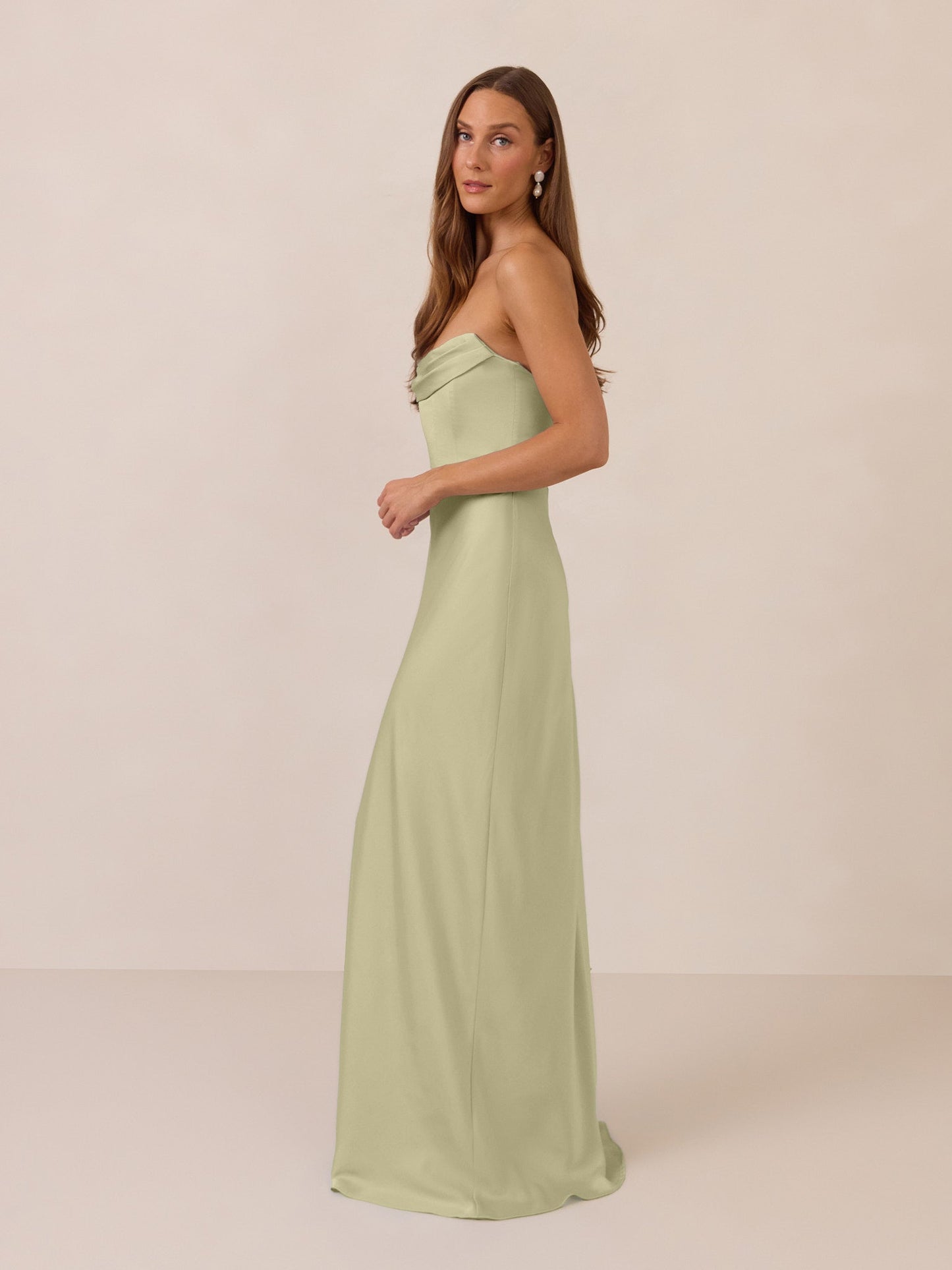 Elegant Dress