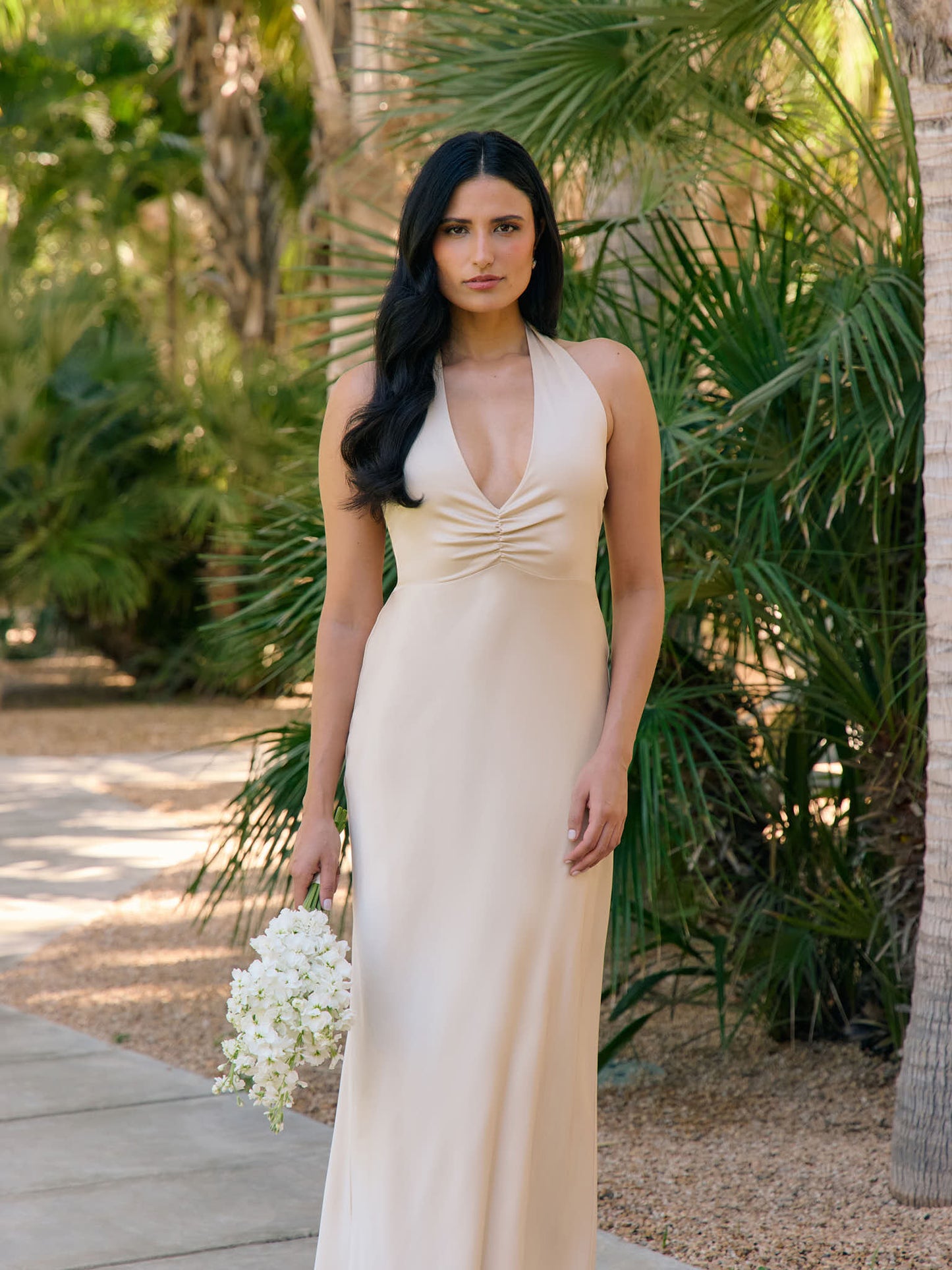 Elegant Dress