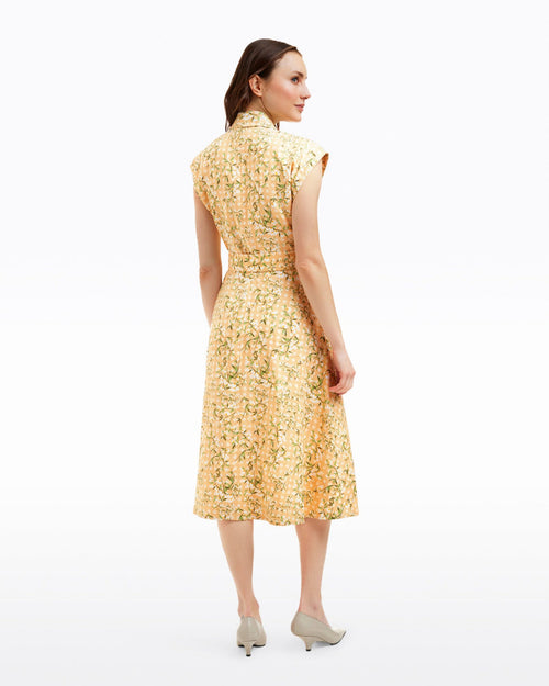Elegant Dress