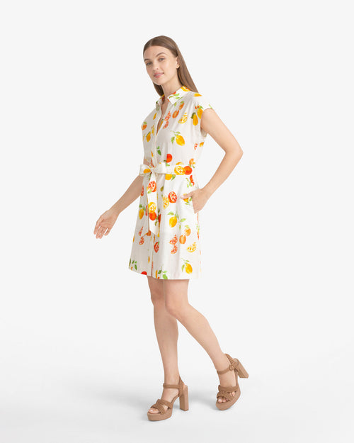 Elegant Dress