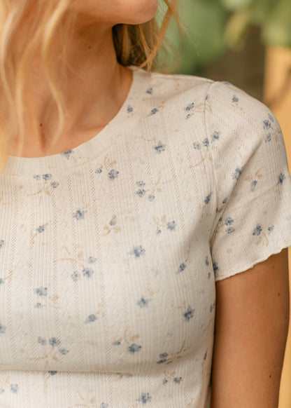 Pointelle Blueberry Bud Top
